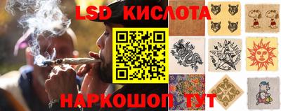 гидра Бузулук
