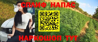 гидра Бузулук