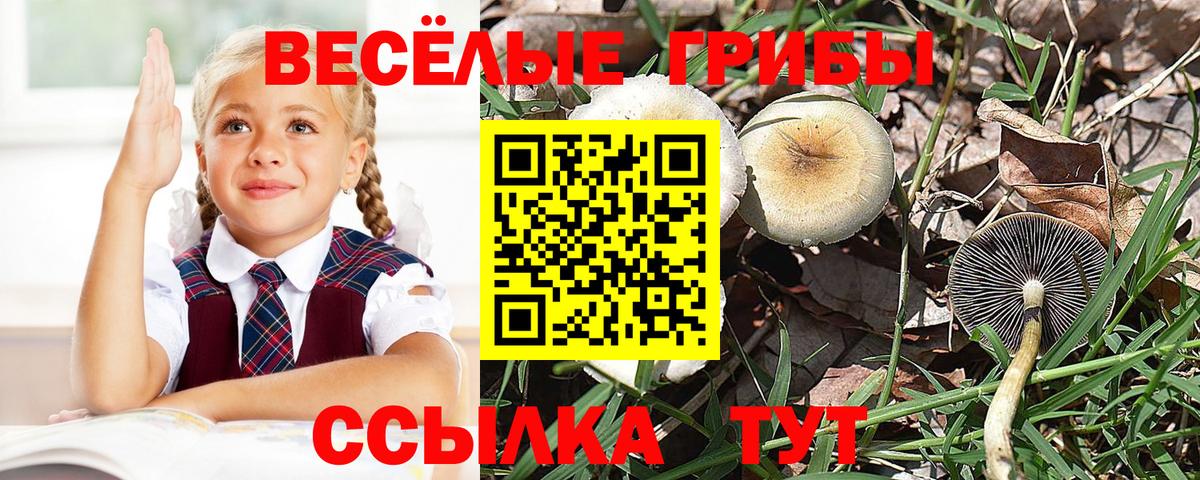 Галлюциногенные грибы прущие грибы  Псилоцибиновые грибы прущие грибы  Вход с VPN  Нарьян-Мар 