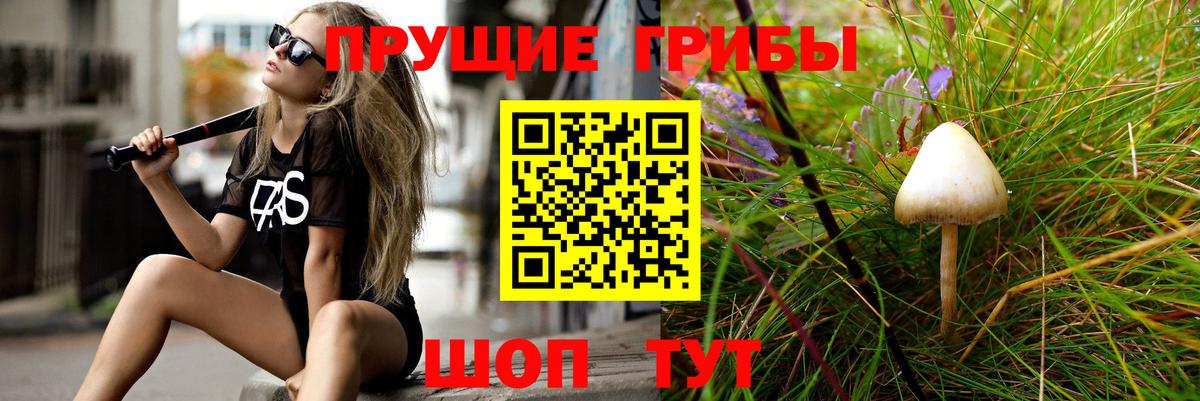 Галлюциногенные грибы GOLDEN TEACHER Нарьян-Мар